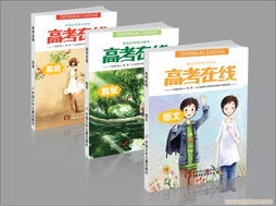 封面設(shè)計(jì)與品牌塑造 從食品包裝到企業(yè)VI與軟件開發(fā)