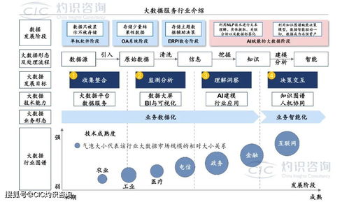 《中國商業大數據服務行業藍皮書》發布 洞見未來，數據賦能社會經濟咨詢新篇章